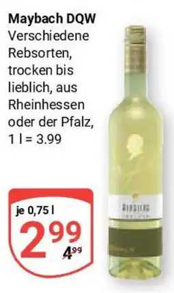 Globus Maybach DQW Angebot