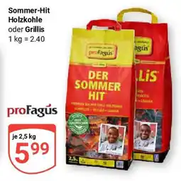 Globus Sommer-Hit Holzkohle oder Grillis Angebot