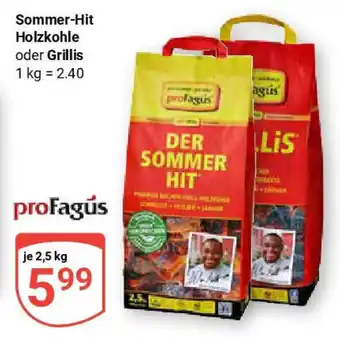 Globus Sommer-Hit Holzkohle oder Grillis Angebot
