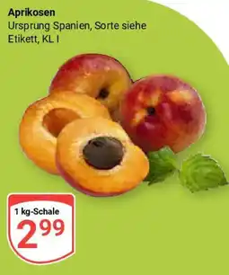 Globus Aprikosen Angebot