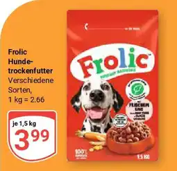 Globus Frolic Hunde- trockenfutter Angebot