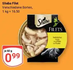 Globus Sheba Filet Angebot
