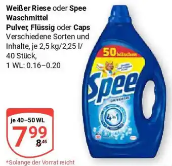 Globus Weißer Riese oder Spee Waschmittel Pulver, Flüssig oder Caps Angebot