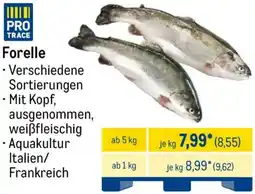 METRO Forelle Angebot