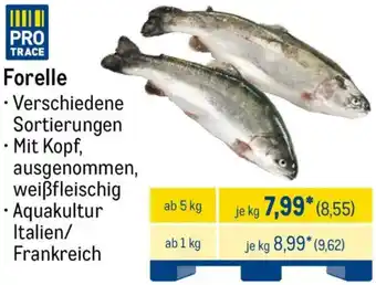 METRO Forelle Angebot