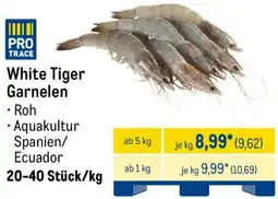 METRO White Tiger Garnelen Angebot
