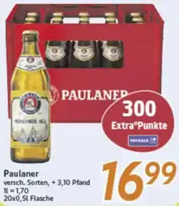 inkoop Paulaner Angebot