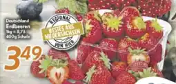 inkoop Deutschland Erdbeeren Angebot