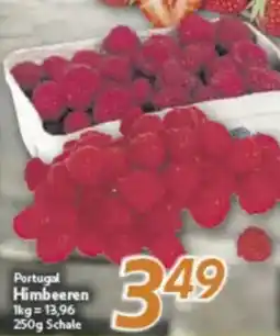 inkoop Portugal Himbeeren Angebot