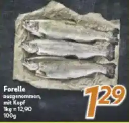 inkoop Forelle Angebot