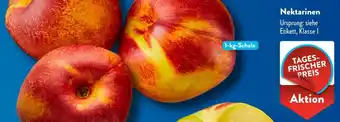 Aldi Süd Nektarinen Angebot