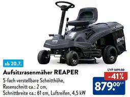 Aldi Süd HOME DELUXE Aufsitzrasenmäher REAPER Angebot