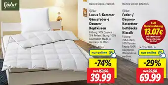 Lidl fjödur Feder-/ Daunen Kassettenbettdecke Klassik Angebot
