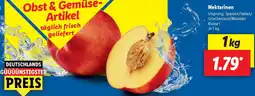 Lidl Nektarinen Angebot