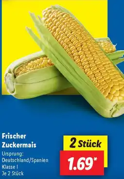 Lidl Frischer Zuckermais Angebot