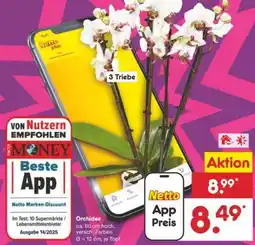 Netto Marken-Discount Orchidee Angebot