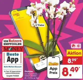 Netto Marken-Discount Orchidee Angebot