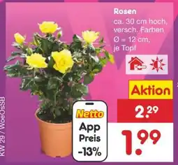 Netto Marken-Discount Rosen Angebot