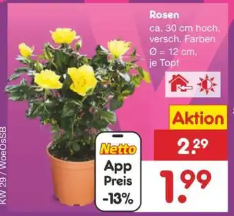 Netto Marken-Discount Rosen Angebot