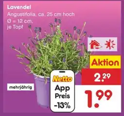 Netto Marken-Discount Lavendel Angebot