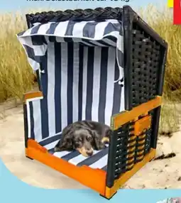 Thomas Philipps Hunde Tierstrandkorb Angebot