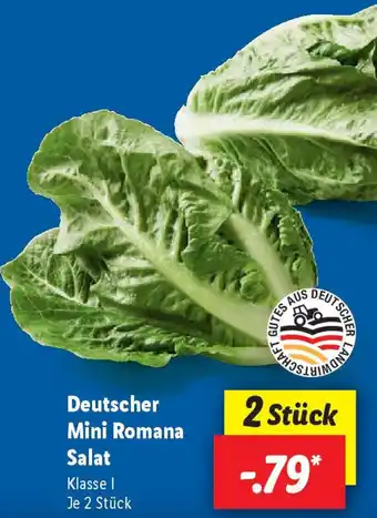 Lidl Deutscher Mini Romana Salat Angebot