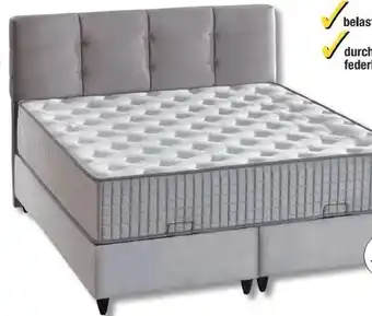 Poco Polsterbett Angebot