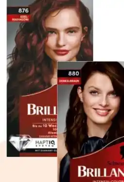 Rossmann Schwarzkopf Brillance Coloration Angebot