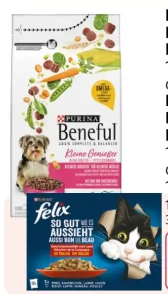Rossmann Purina Hund Beneful kleine Geniesser mit Rind Angebot