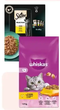 Rossmann Sheba Selection Angebot