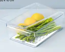 NETTO Kühlschrankbox Angebot