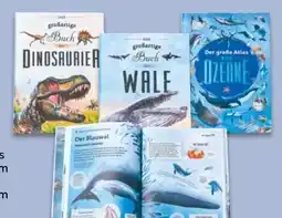NETTO Das große Wissens-Buch Angebot