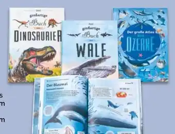 NETTO Das große Wissens-Buch Angebot