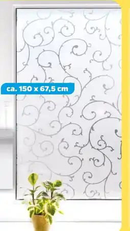 NETTO Statische Folie Angebot