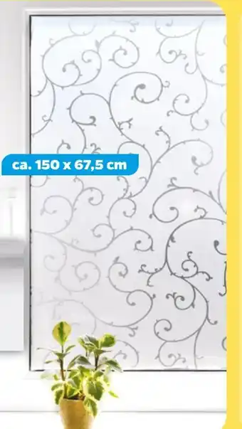 NETTO Statische Folie Angebot