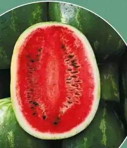 NETTO Wassermelonen Dumara Angebot