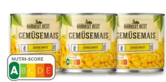 NETTO Harvest Best Gemüsemais Angebot