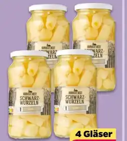 NETTO Harvest Best Schwarzwurzeln Angebot