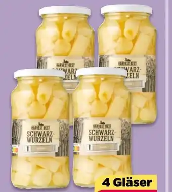 NETTO Harvest Best Schwarzwurzeln Angebot