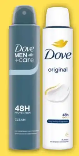 NETTO Dove Deo-Spray Angebot