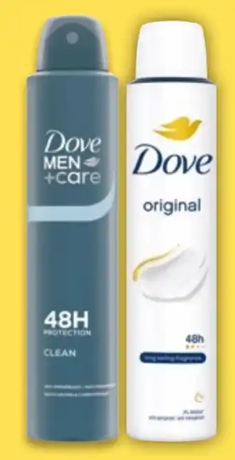 NETTO Dove Deo-Spray Angebot