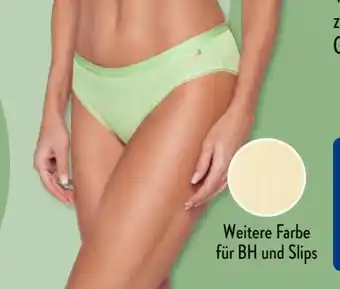 Aldi Süd Sylvie Meis Damen-Minislips Angebot