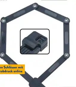 Aldi Süd Prophete Faltschloss Angebot