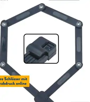 Aldi Süd Prophete Faltschloss Angebot