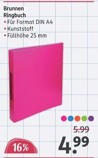Rossmann Brunnen ringbuch Angebot