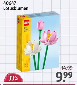 Rossmann Lego lotusblumen Angebot