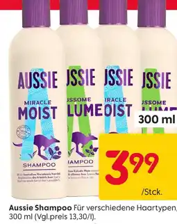 Rusta Aussie shampoo Angebot