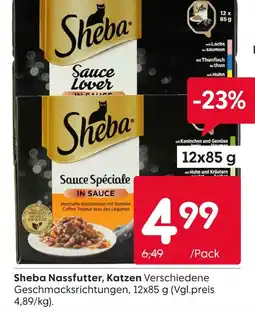 Rusta Sheba nassfutter Angebot