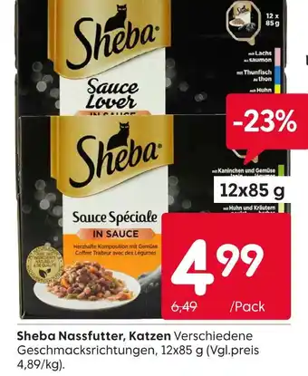 Rusta Sheba nassfutter Angebot