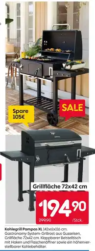 Rusta Kohlegrill pampas xl Angebot